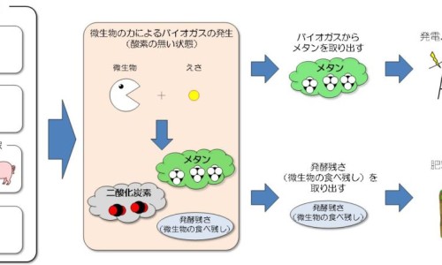 睡眠质量不好-睡眠质量不好 如何改善-专业睡眠质量不好有什么办法可以调理平台-睡眠质量不好吃什么药效果最好
